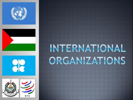 International Organizations