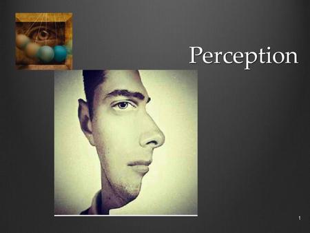 Perception.