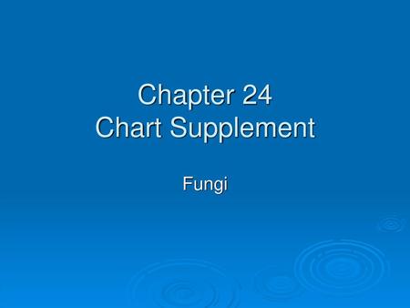 Chapter 24 Chart Supplement