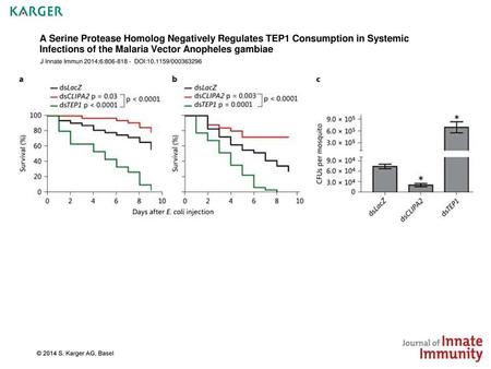 A Serine Protease Homolog Negatively Regulates TEP1 Consumption in Systemic Infections of the Malaria Vector Anopheles gambiae J Innate Immun 2014;6:806-818.