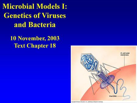 Virus Basics - part I Viruses are genetic parasites that are smaller than living cells. They are much more complex than molecules, but clearly not alive,