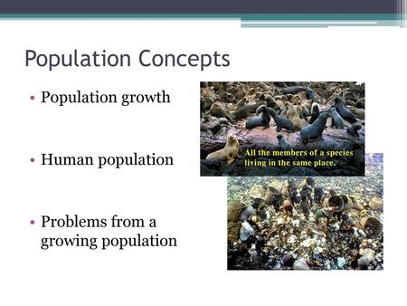 Population Concepts Population growth Human population