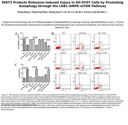 SIRT3 Protects Rotenone-induced Injury in SH-SY5Y Cells by Promoting Autophagy through the LKB1-AMPK-mTOR Pathway Zhang Meng 1 ;Deng Yong-Ning 1 ;Zhang.