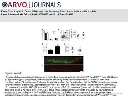 Invest. Ophthalmol. Vis. Sci ;56(6): doi: /iovs Figure Legend: