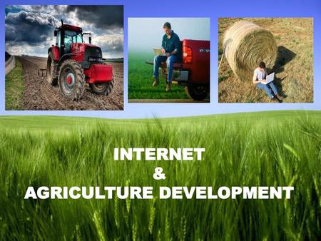 AGRICULTURE DEVELOPMENT