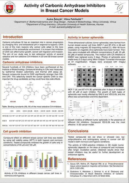 Activity of Carbonic Anhydrase Inhibitors in Breast Cancer Models