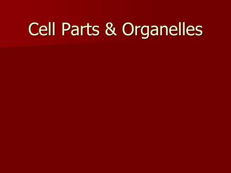 Cell Parts & Organelles