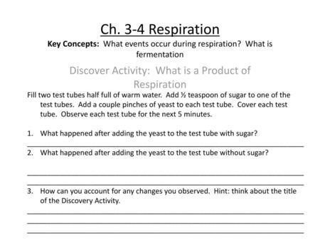 Discover Activity: What is a Product of Respiration