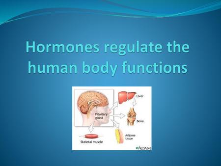 Hormones regulate the human body functions