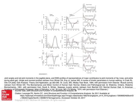 Joint angles and net joint moments in the sagittal plane, and EMG profiles of representatives of major contributors to joint moments of hip, knee, and.