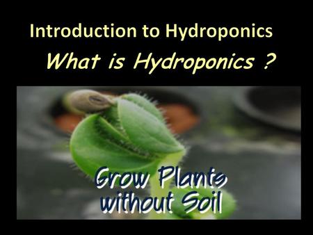 Introduction to Hydroponics