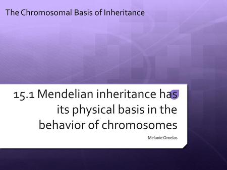 The Chromosomal Basis of Inheritance