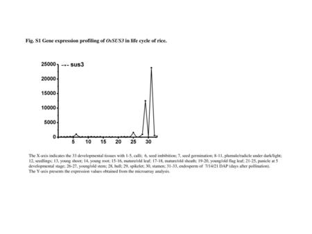 Fig. S1 Gene expression profiling of OsSUS3 in life cycle of rice.