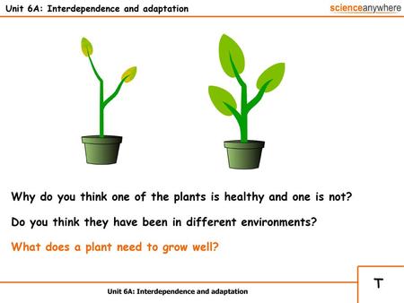 Unit 6A: Interdependence and adaptation