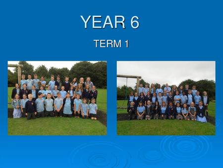 YEAR 6 TERM 1.