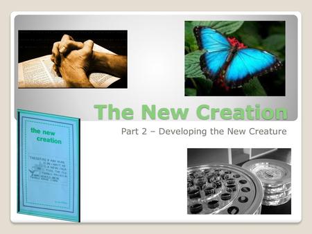 Part 2 – Developing the New Creature