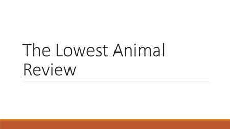 The Lowest Animal Review