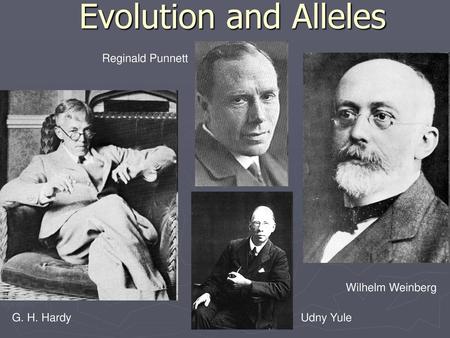 Evolution and Alleles Reginald Punnett Wilhelm Weinberg G. H. Hardy