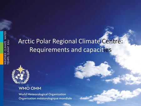 Arctic Polar Regional Climate Centre: Requirements and capacities