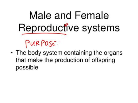 Male and Female Reproductive systems