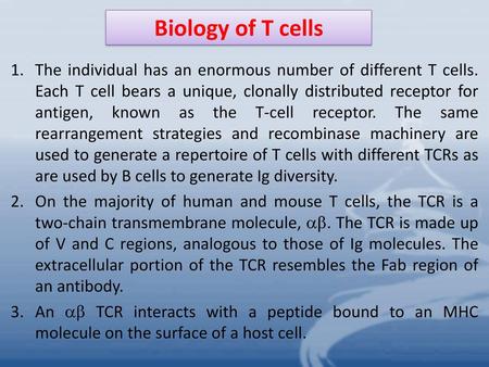 Biology of T cells The individual has an enormous number of different T cells. Each T cell bears a unique, clonally distributed receptor for antigen, known.