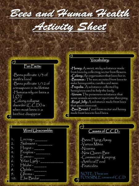 Bees and Human Health Activity Sheet