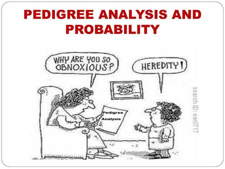 PEDIGREE ANALYSIS AND PROBABILITY