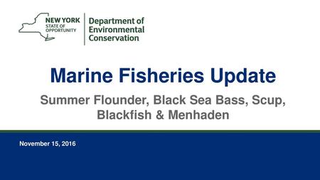 Marine Fisheries Update