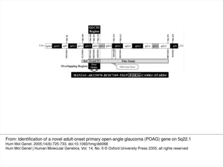 Figure 1. Partial genetic and physical map of chromosome 5q