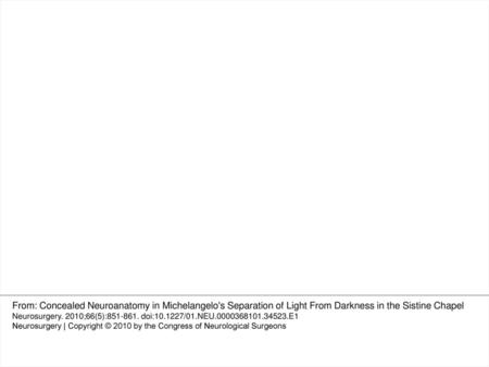 FIGURE 4. Comparative views of brainstem landmarks in the Separation of Light From Darkness. Brainstem anatomy in the highlighted box by Michelangelo (A)