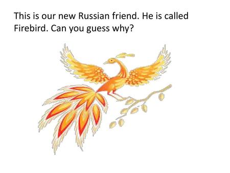 This is our new Russian friend. He is called Firebird