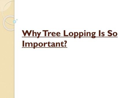 Why Tree Lopping Is So Important?