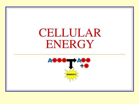 CELLULAR ENERGY.