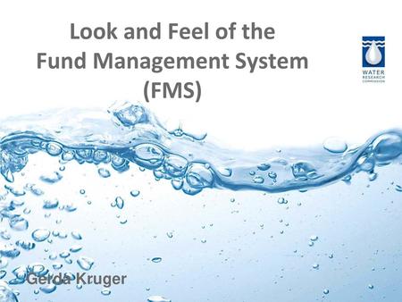 Look and Feel of the Fund Management System (FMS)