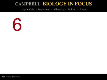 An Introduction to Metabolism