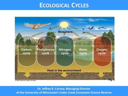 Ecological Cycles Dr. Jeffrey R. Corney, Managing Director