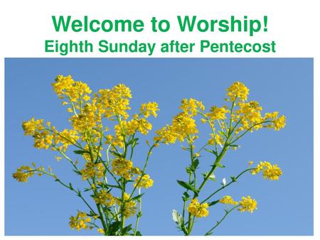 Eighth Sunday after Pentecost