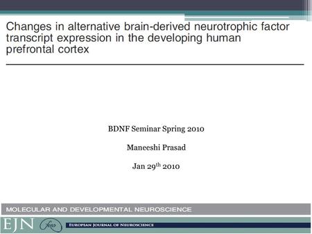 BDNF Seminar Spring 2010 Maneeshi Prasad Jan 29th 2010.