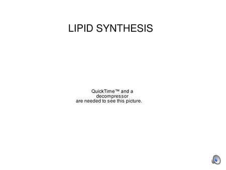 LIPID SYNTHESIS.