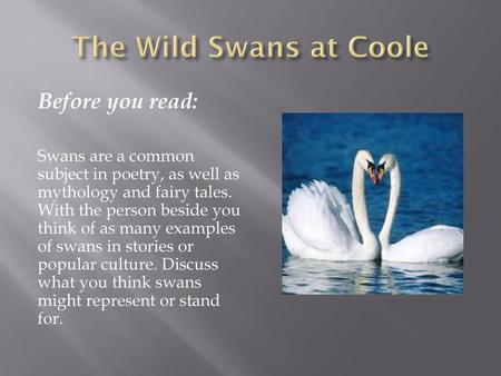 The Wild Swans at Coole Before you read: