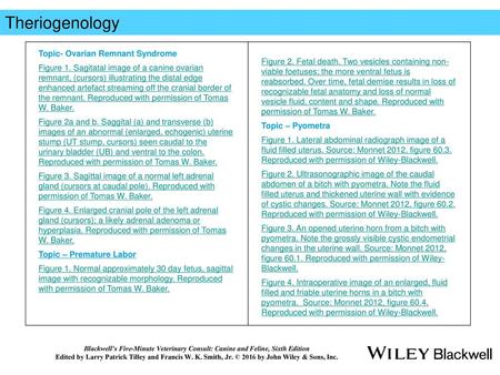 Theriogenology Topic- Ovarian Remnant Syndrome