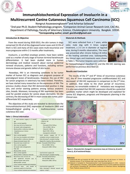 Immunohistochemical Expression of Involucrin in a