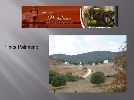 Finca Palomino.