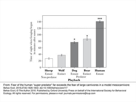 Figure 1 Effects of playbacks on the time of night when badgers began foraging at the first food patch, measured in minutes after sunset, comparing extant.