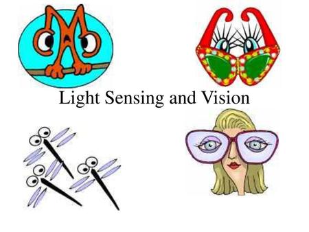 Light Sensing and Vision