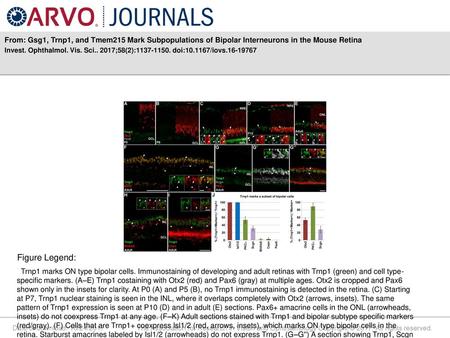 Invest. Ophthalmol. Vis. Sci ;58(2): doi: /iovs Figure Legend: