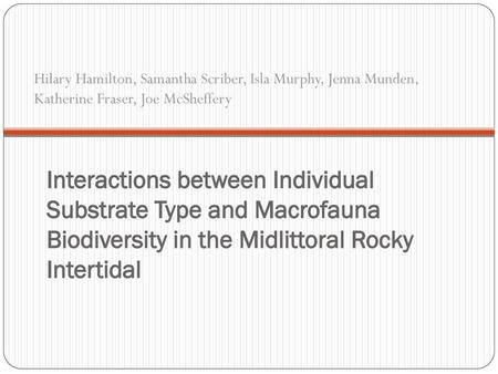 Hilary Hamilton, Samantha Scriber, Isla Murphy, Jenna Munden, Katherine Fraser, Joe McSheffery Interactions between Individual Substrate Type and Macrofauna.