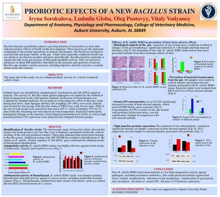 PROBIOTIC EFFECTS OF A NEW BACILLUS STRAIN Iryna Sorokulova, Ludmila Globa, Oleg Pustovyy, Vitaly Vodyanoy Department of Anatomy, Physiology and Pharmacology,