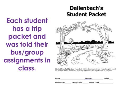 While at Dallenbach’s, you will be learning about the forest ecosystem