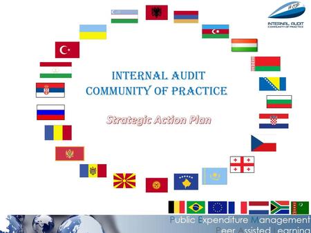 Internal audit Community of practice Strategic Action Plan.